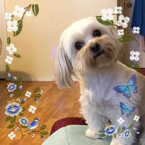 Meet your Posher, Mary